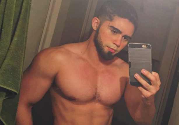 Isbo es gay, tendencia