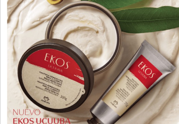 Revista Natura Ciclo 12