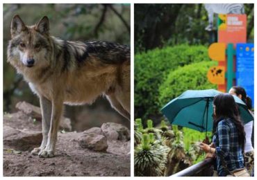zoológicos en la CDMX
