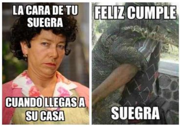 suegra