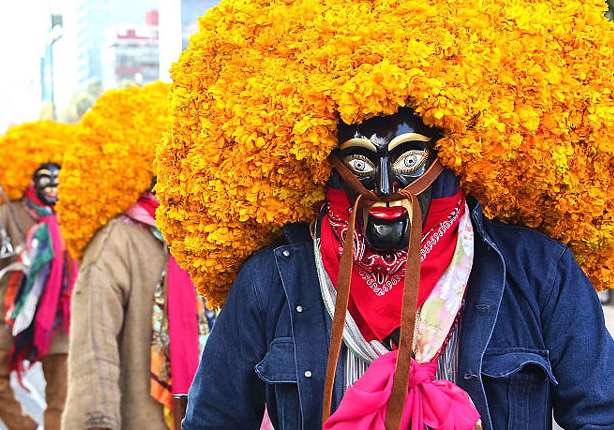 Festival de las Flores CDMX 2019