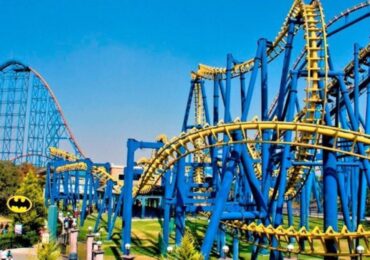 pingüino de Six Flags