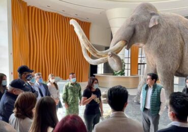 Museo Tierra de Gigantes