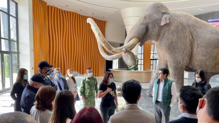 Museo Tierra de Gigantes