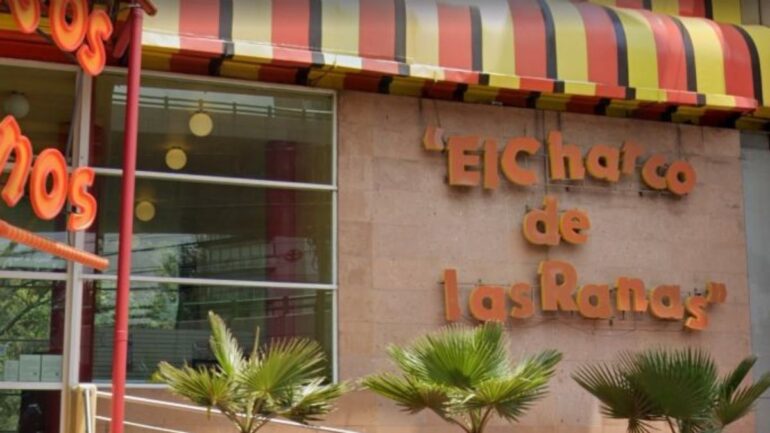 El charco de las ranas